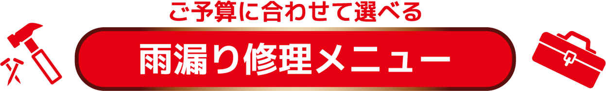 ご予算に合わせて選べる 雨漏り修理メニュー
